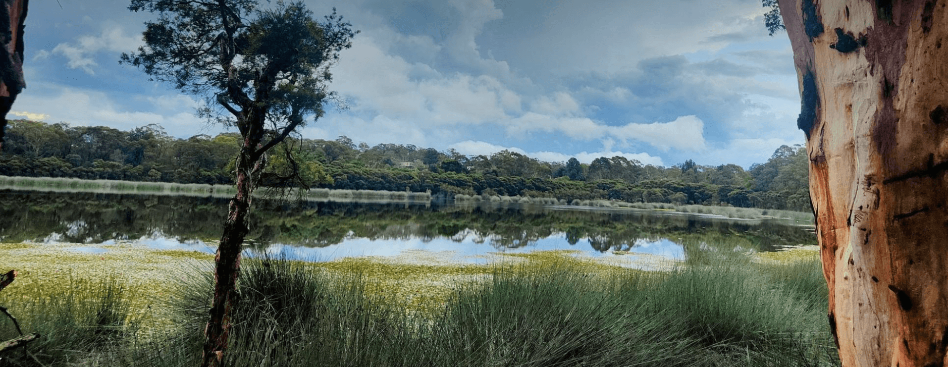 a photo showing Glenbrook Lagoon and surrounding green space